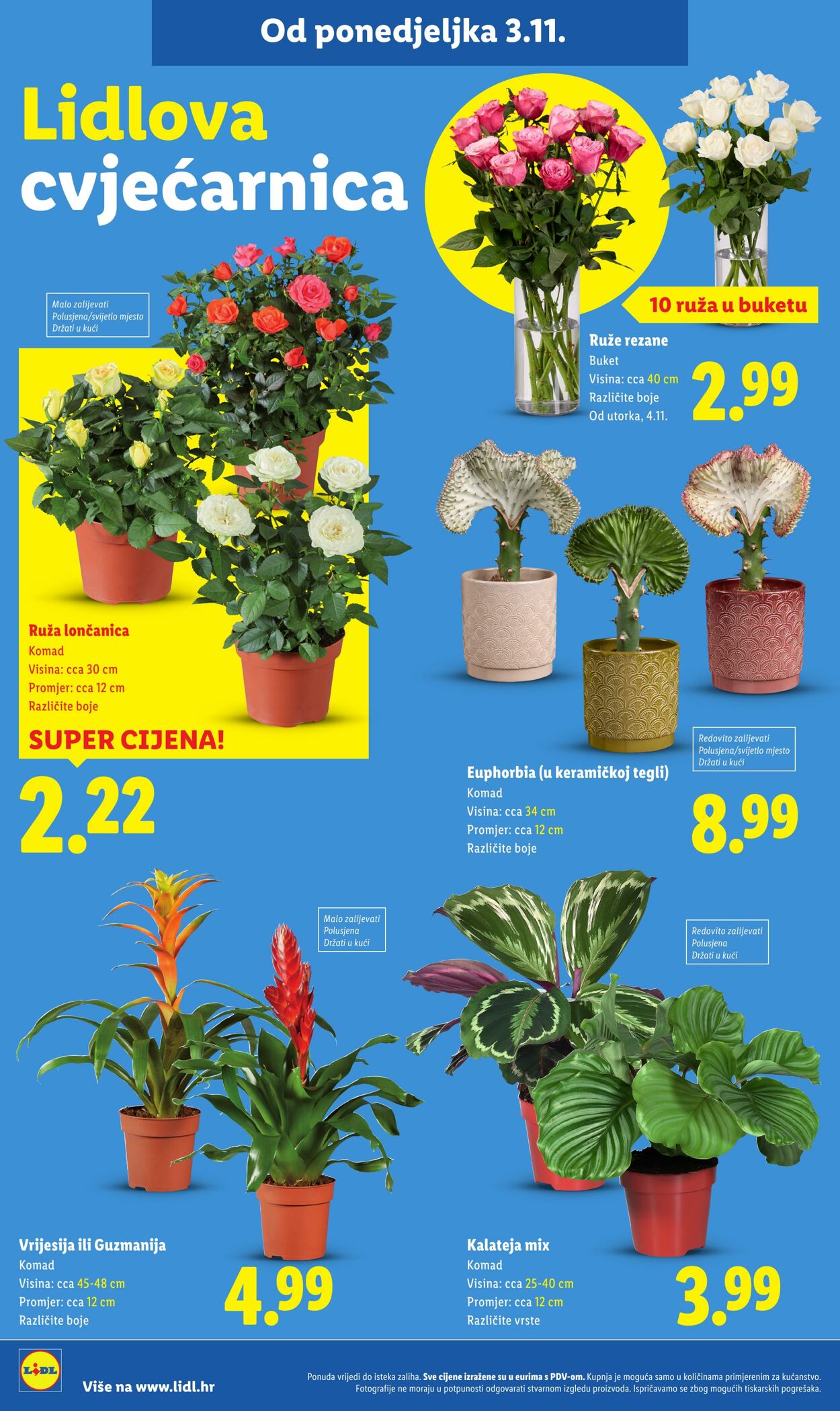 Katalog Lidl 05.11.2025 - 19.11.2025