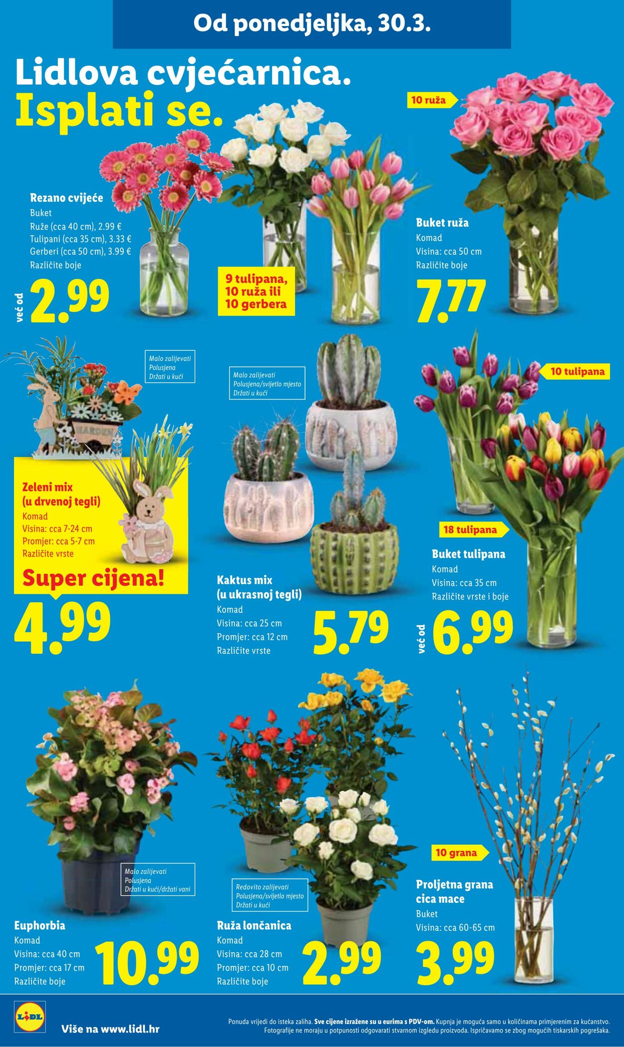 Katalog Lidl 26.03.2026 - 03.04.2026