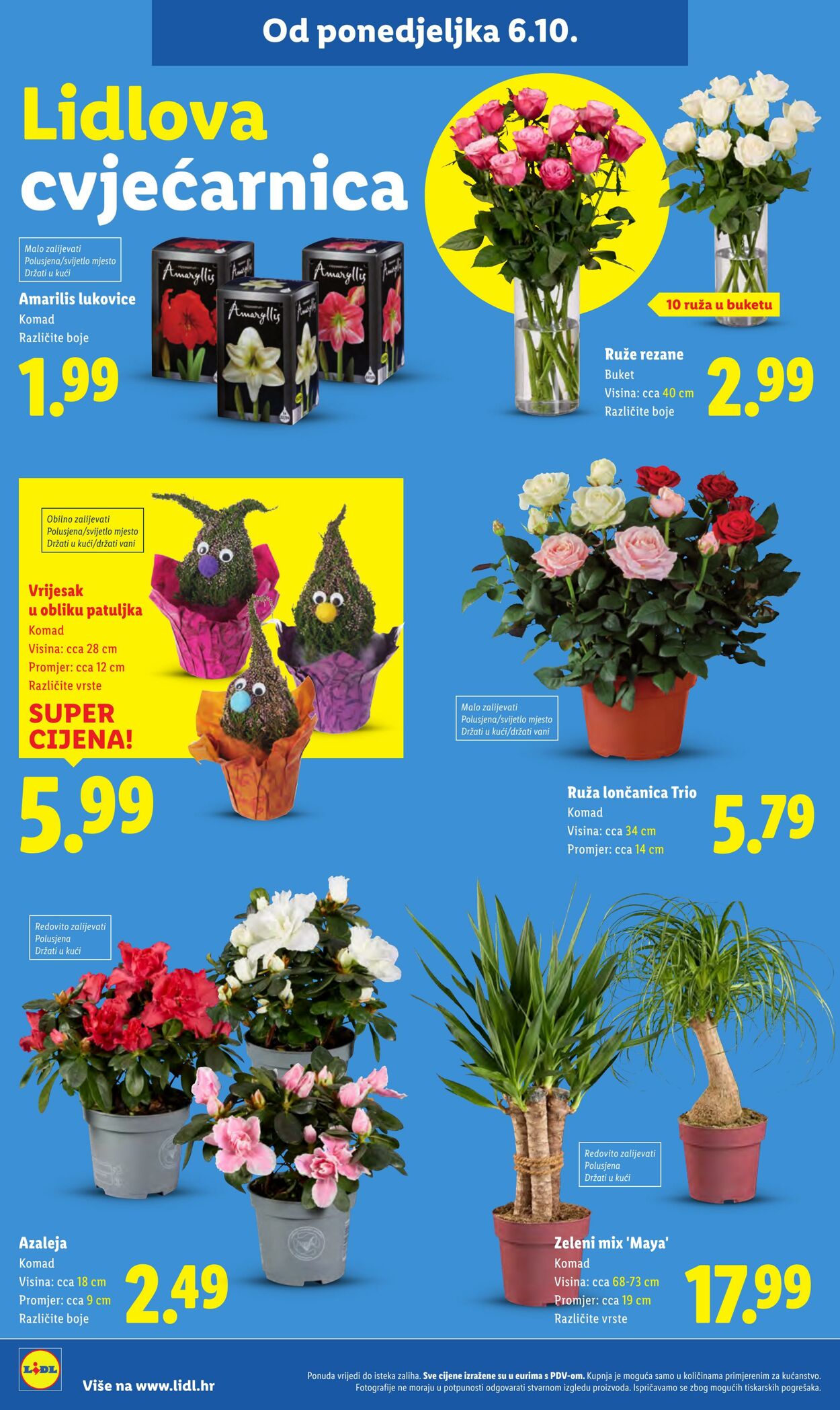 Katalog Lidl 10.10.2025 - 24.10.2025