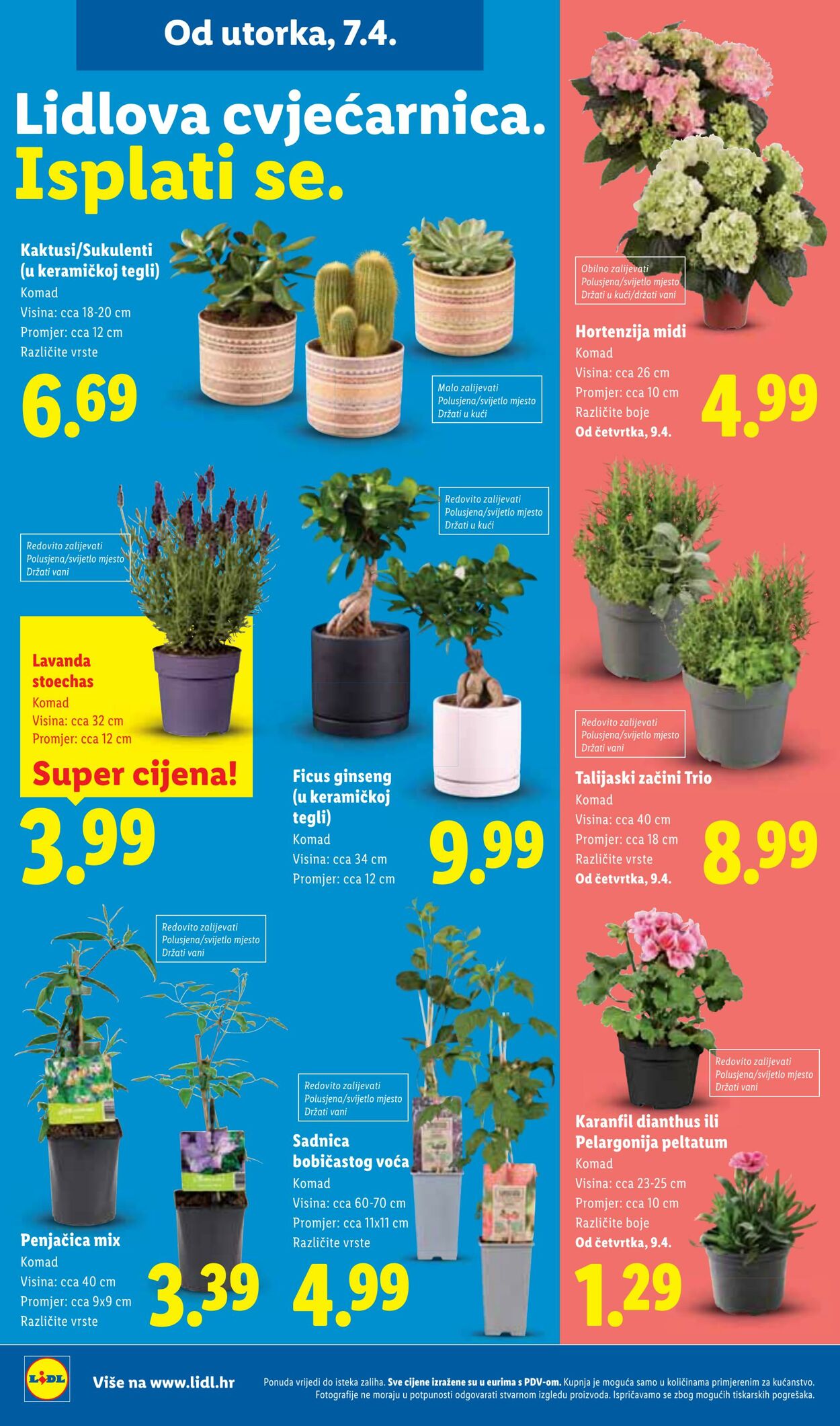 Katalog Lidl 03.04.2026 - 11.04.2026