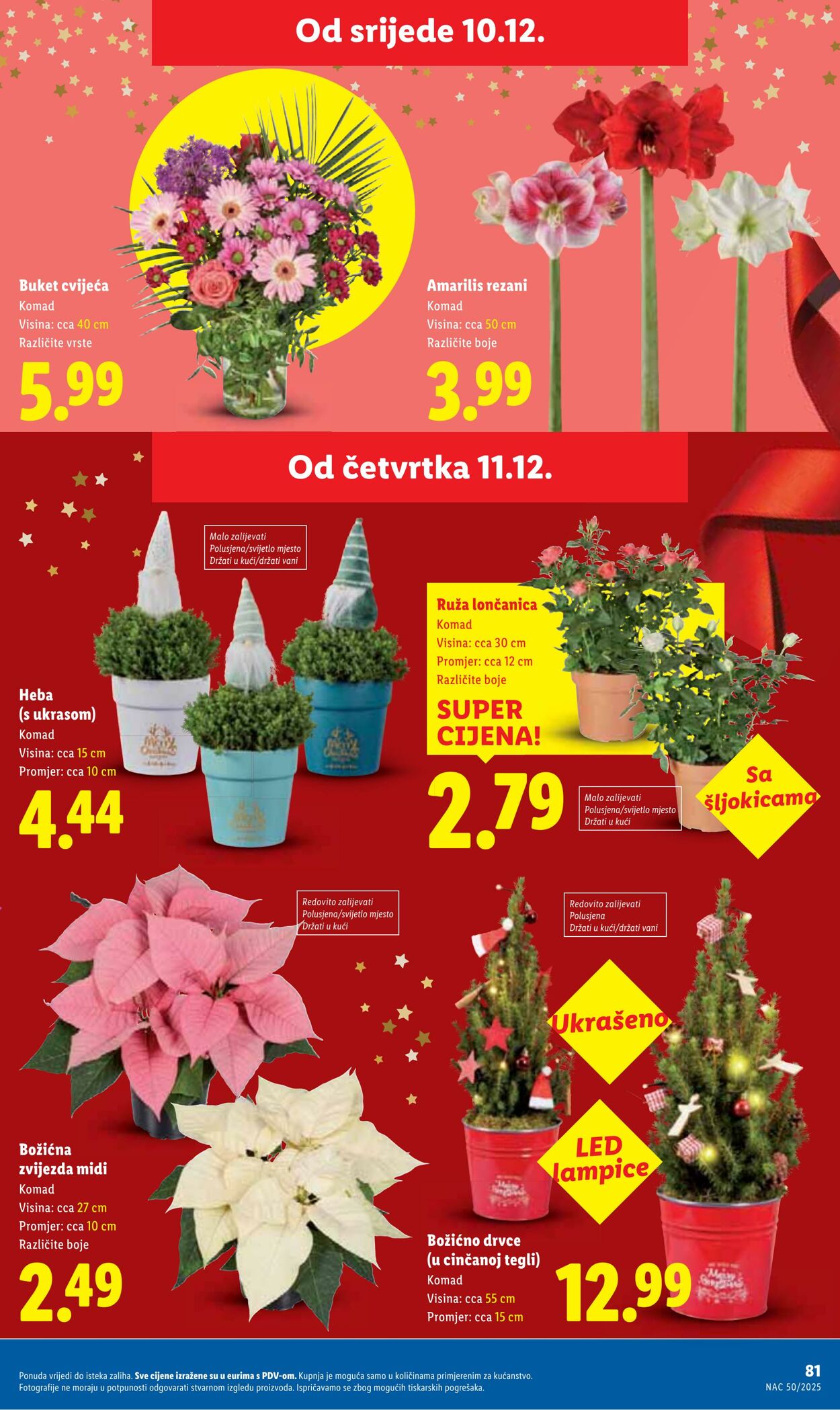 Katalog Lidl 08.12.2025 - 22.12.2025