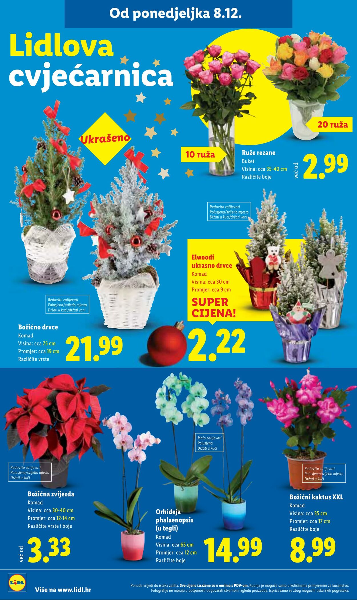 Katalog Lidl 11.12.2025 - 25.12.2025