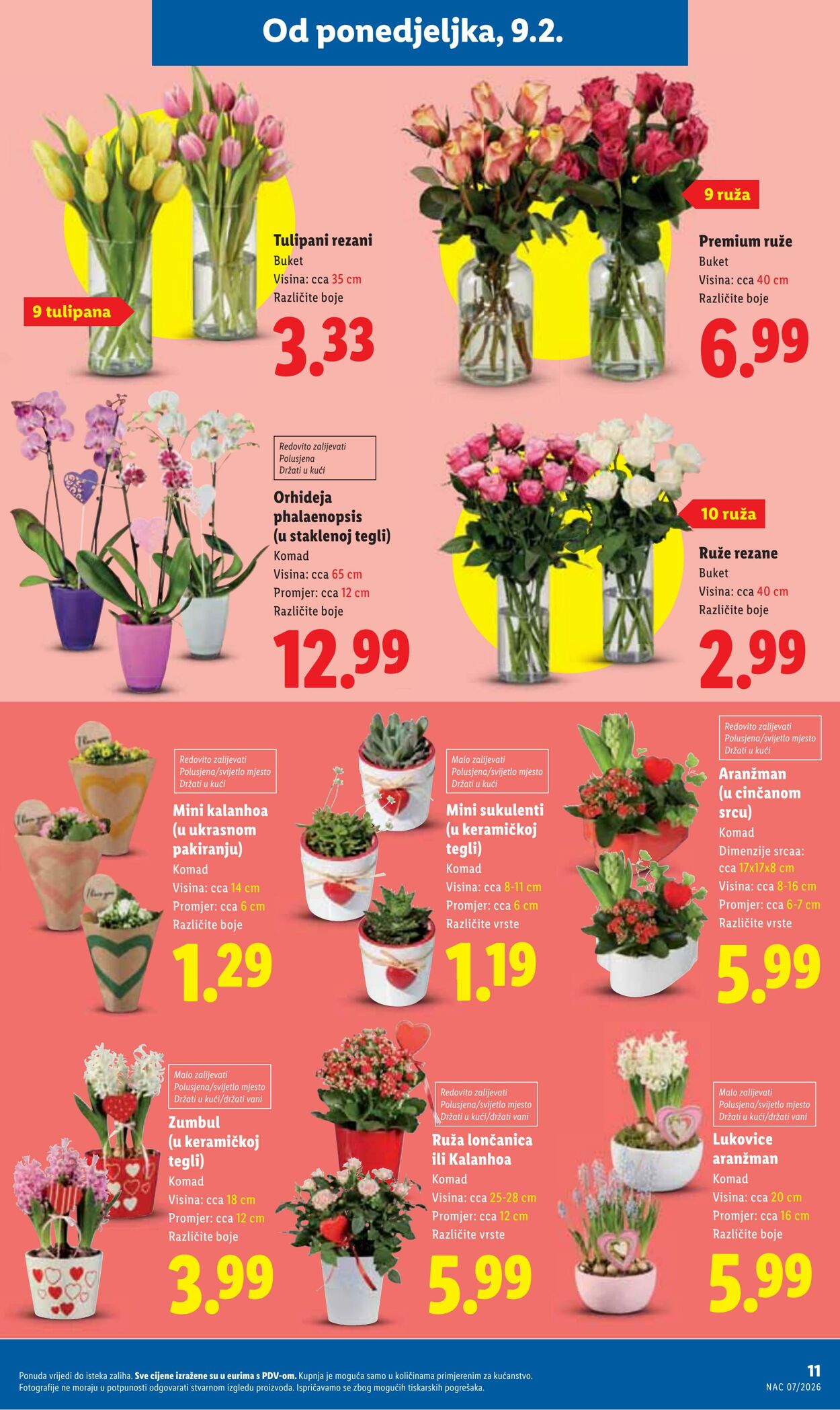 Katalog Lidl 09.02.2026 - 23.02.2026