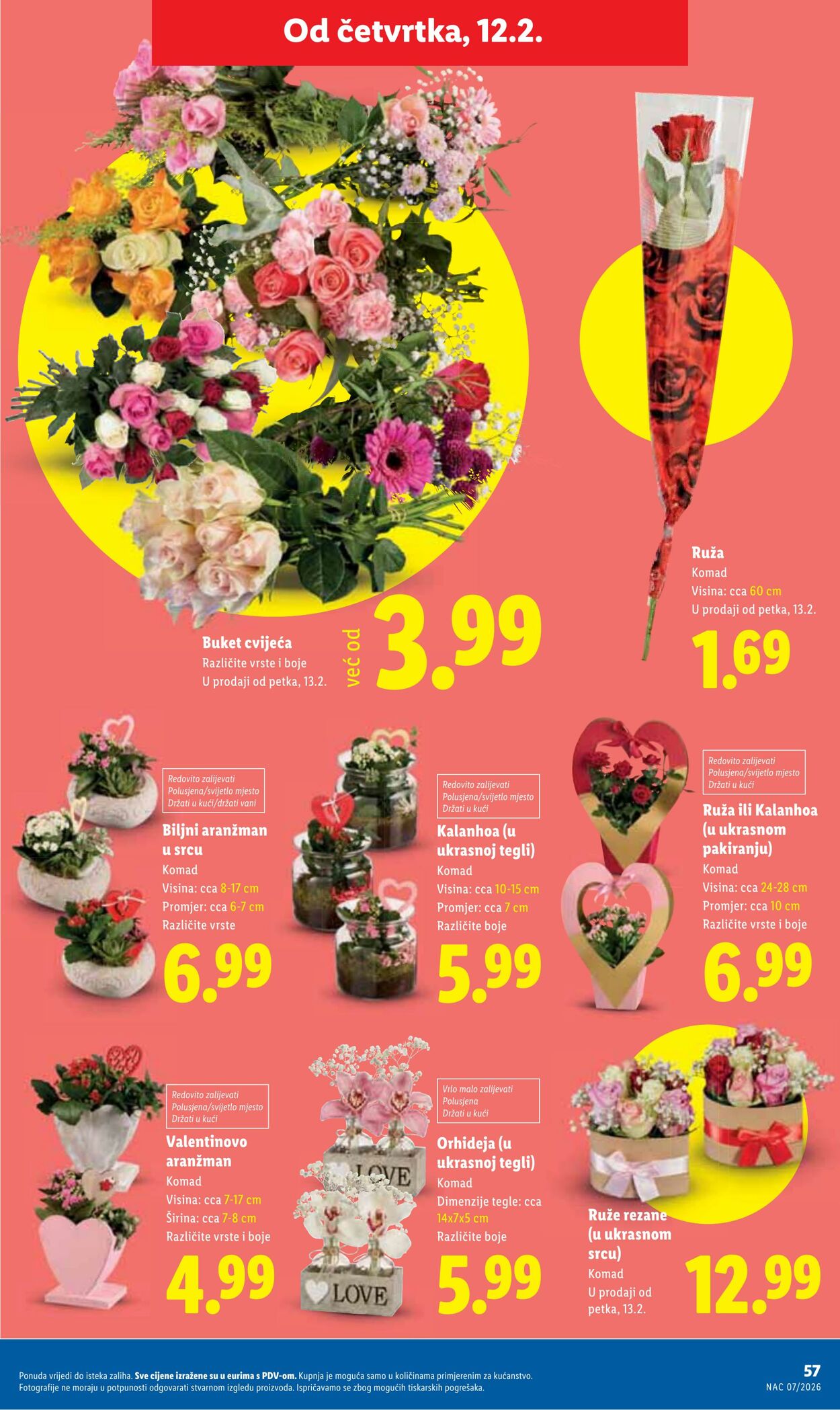 Katalog Lidl 06.02.2026 - 20.02.2026