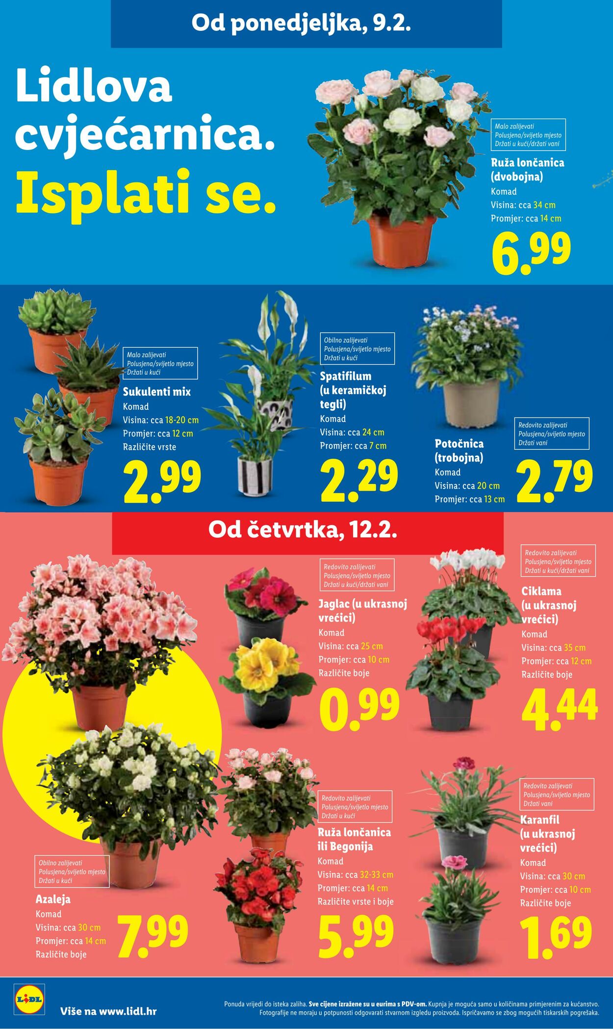 Katalog Lidl 06.02.2026 - 20.02.2026