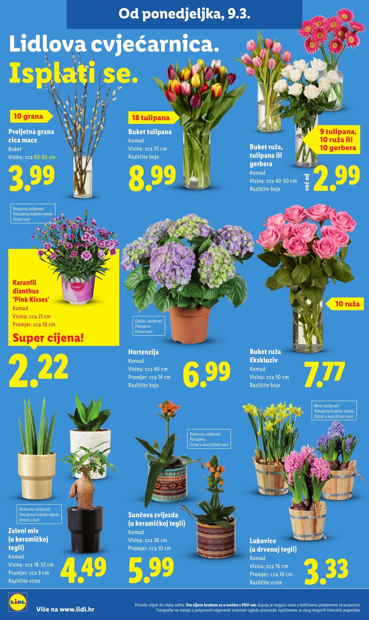 Katalog Lidl 05.03.2026 - 13.03.2026