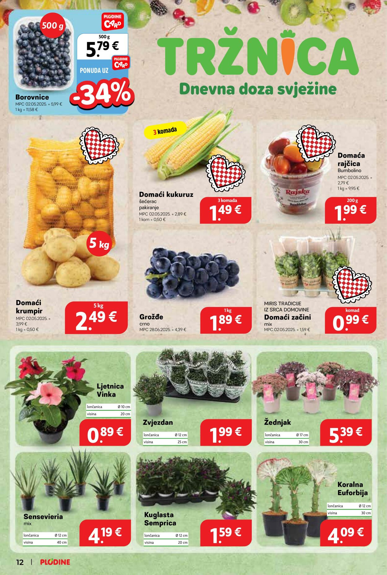 Katalog Plodine 13.08.2025 - 19.08.2025