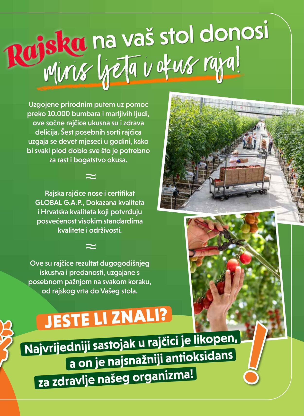 Katalog Studenac 28.05.2025 - 03.06.2025