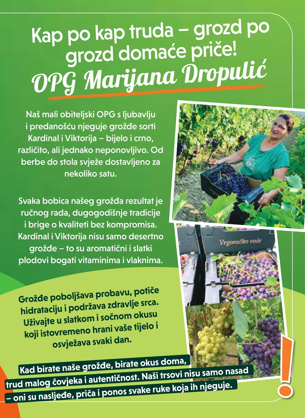 Katalog Studenac 13.08.2025 - 26.08.2025